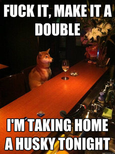 Alcoholic dog