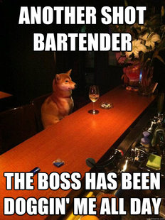 Alcoholic dog