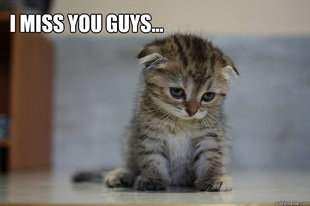 Sad Kitten