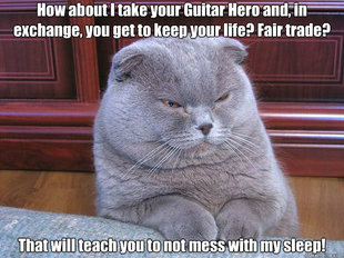 Grumpy Cat