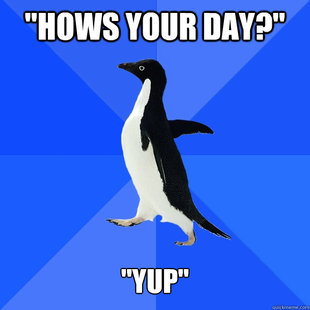 Socially Awkward Penguin