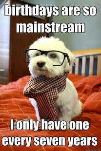 Hipster Dog
