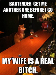Alcoholic dog