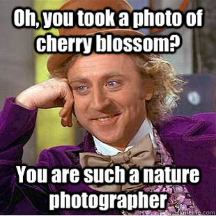 Condescending Wonka