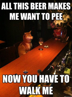 Alcoholic dog