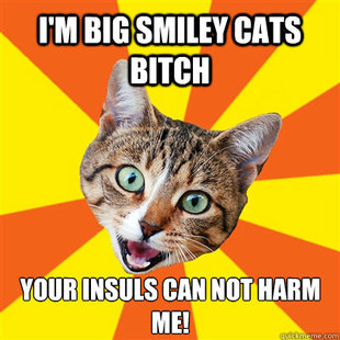 Bad Advice Cat