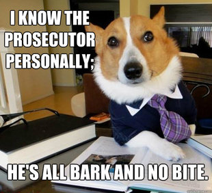 Lawyer Dog