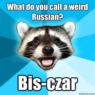 Lame Pun Coon