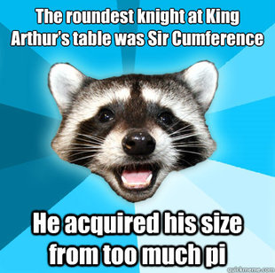 Lame Pun Coon
