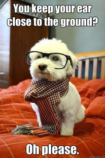 Hipster Dog