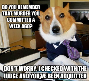 Lawyer Dog