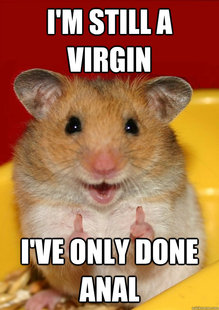 Rationalization Hamster