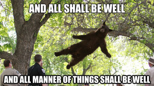 Falling Bear