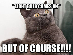 conspiracy cat