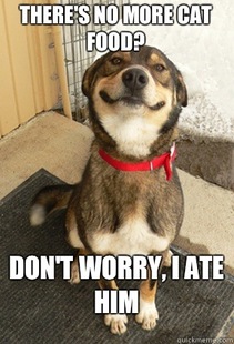 Good Dog Greg