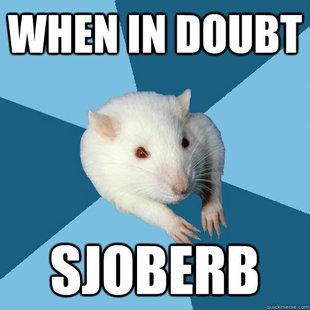 Psychology Major Rat