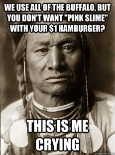 Unimpressed American Indian