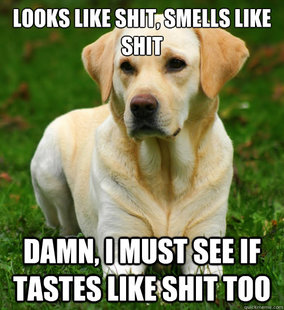 Dog Logic