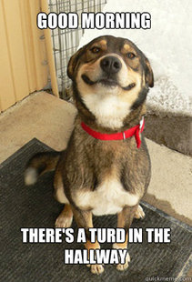 Good Dog Greg