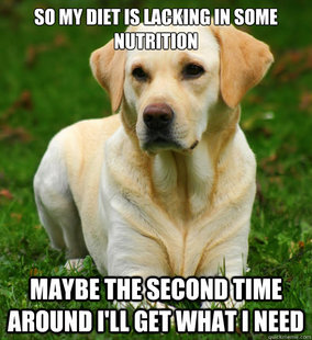 Dog Logic