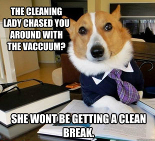 Lawyer Dog