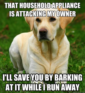 Dog Logic