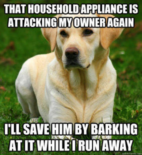 Dog Logic