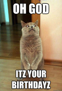 Horrorcat