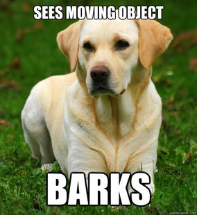 Dog Logic
