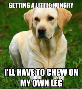 Dog Logic