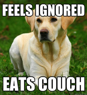 Dog Logic