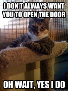 The Most Interesting Cat in the World