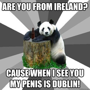 Pickup-Line Panda