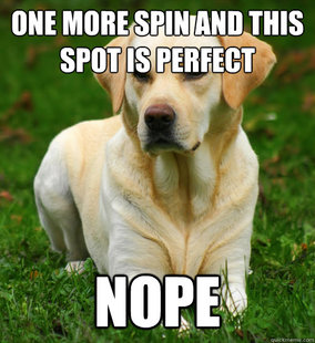 Dog Logic