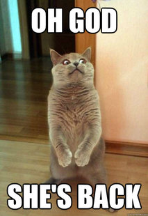 Horrorcat