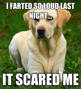 Dog Logic