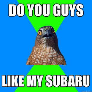 Hawkward