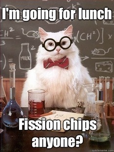 Chemistry Cat