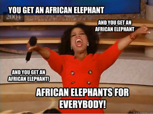 oprah you get a car