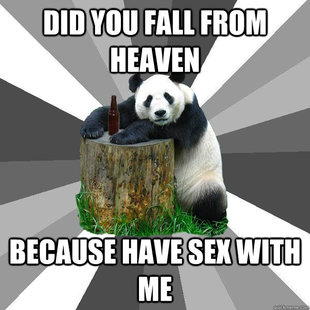 Pickup-Line Panda