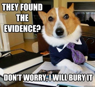 Lawyer Dog