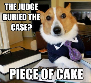 Lawyer Dog