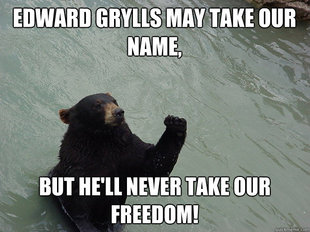 Vengeful Bear
