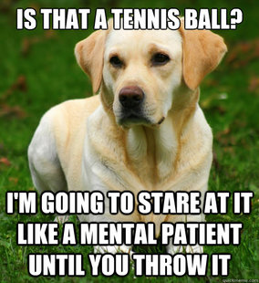Dog Logic