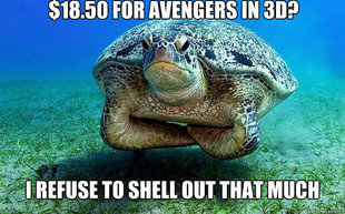 Dispelased Sea Turtle