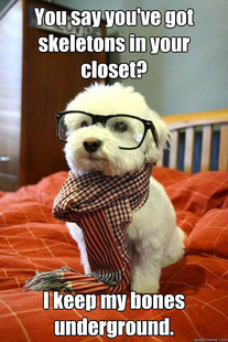 Hipster Dog
