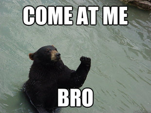 Vengeful Bear