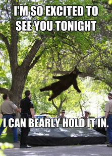 Falling Bear