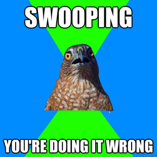 Hawkward