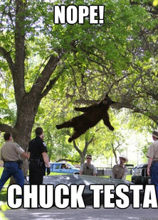 Falling Bear